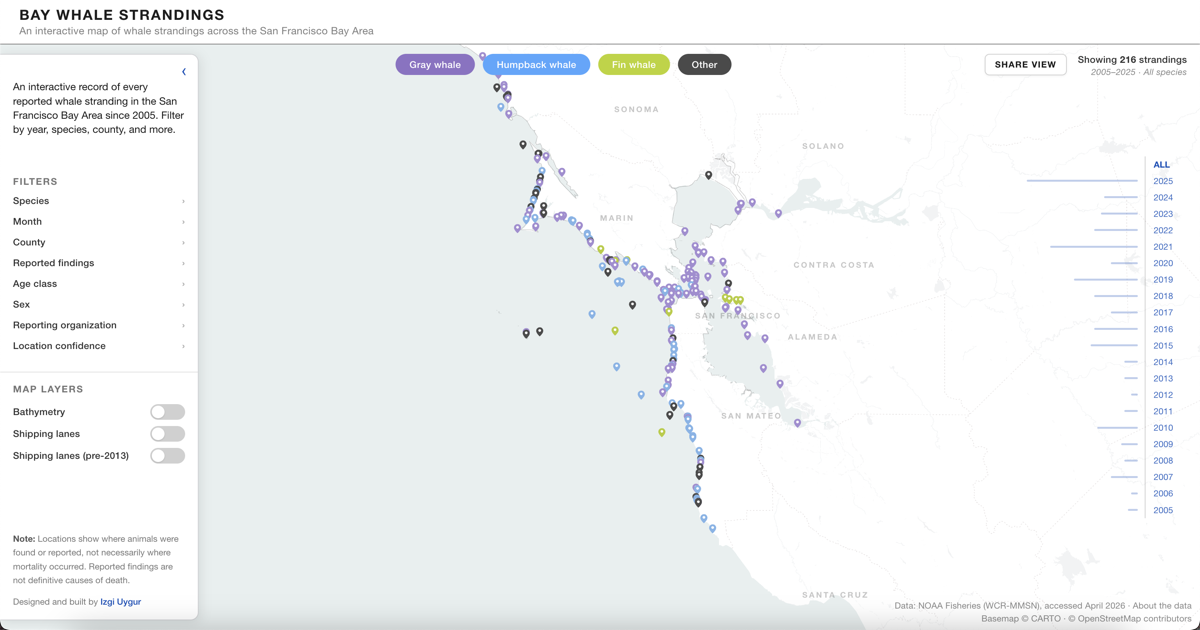 Show HN: Bay Whale Strandings – interactive map of whale strandings in SF Bay